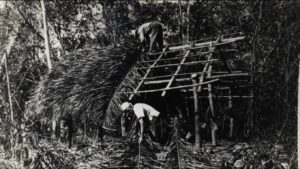 Ocupação as Margens do Córrego Botafogo, Macambira 